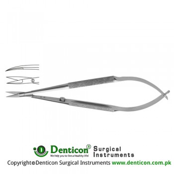 Micro Scissor Curved - Round Handle Stainless Steel, 23 cm - 9" Blade Size 10 mm